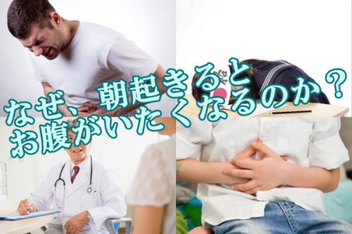 なぜ、朝起きるとお腹がいたくなるのか？