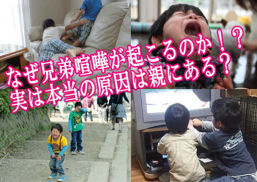 なぜ兄弟喧嘩が起こるのか！？実は本当の原因は親にある？
