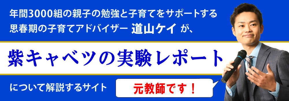 紫キャベツの自由研究は＜＜小中学生向け＞＞まとめ方を解説