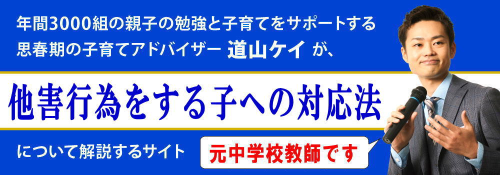 他害行為をする子供の対応＜＜自閉症？薬は必要？＞＞中学生の親向け